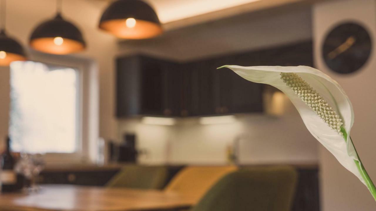Apartment Ninetyfour Annaberg im Lammertal Eksteriør bilde